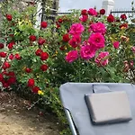 10 * Courchamp